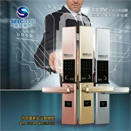 半自動(dòng)指紋鎖（SKD-LK-ZW1802)